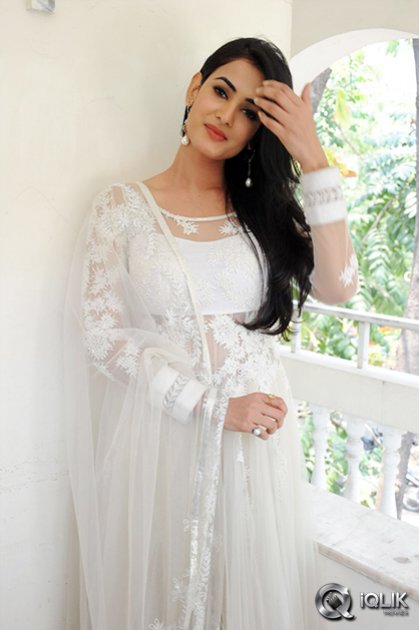 Sonal-Chauhan-at-Legend-Movie-Press-Meet